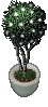 DecorativeTopiary.png