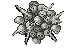 GrizzledSkullCollection.png