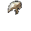 DarkwoodCrown.png