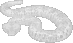 SeaSnake.png