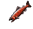 Cobia.png