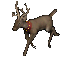 SantasReindeer2.png