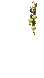DriedOnions.png