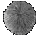 FullMoonFish.png