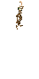 DriedHerbs.png