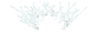 EggCaseWeb.png