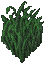 MoonGrass.png