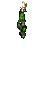GreenDriedFlowers.png