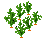 FarmableCarrot.png