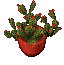 FestiveCactus.png