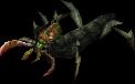 DeathwatchBeetle.jpg