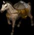 PackHorse.jpg