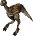 DesertOstard.png