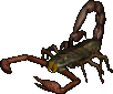 SpeckledScorpion.png