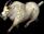 MountainGoat.jpg