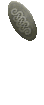 DecorativeShield4.png