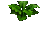 Marijuana Crop.png