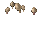 Mushrooms3.png