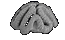 Coral.png