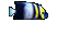 FandancerFish.png