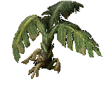 MaginciaBazaar.png