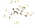 MMQSpores.png