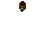 TigerPeltCollar.png