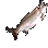 Fish.png